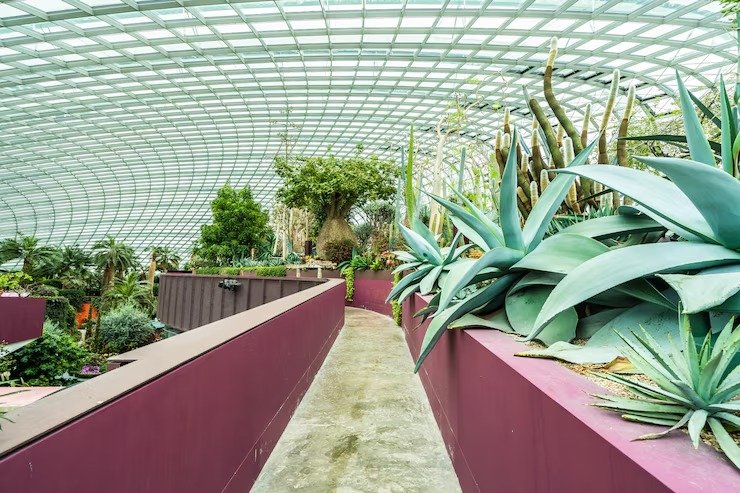 Orchidarium inside museum